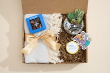 Load image into Gallery viewer, Celebration