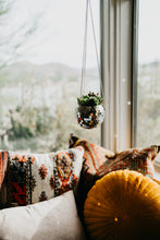 Load image into Gallery viewer, Hanging Disco Ball Succulent Arrangement