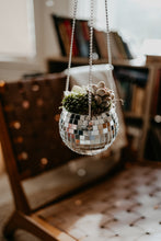 Load image into Gallery viewer, Hanging Disco Ball Succulent Arrangement