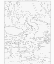 Load image into Gallery viewer, NATIONAL PARKS COLORING BOOK