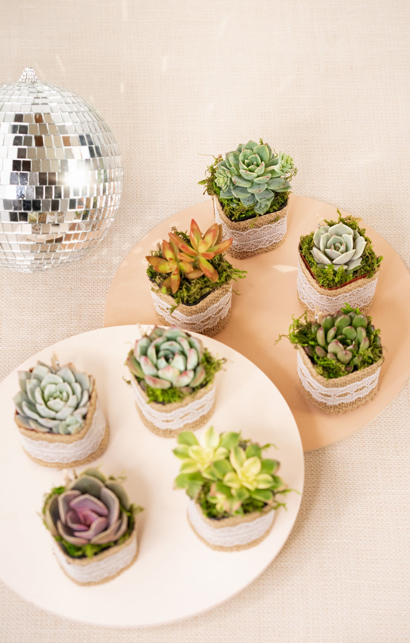 succulents party favors Set of 8 Succulents in Burlap Party Favors – Succulent Friends Co
