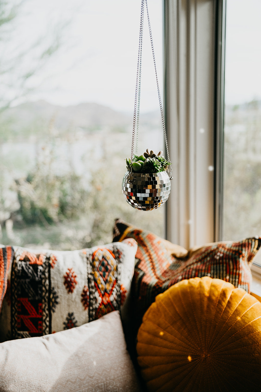 disco ball succulent Hanging Disco Ball Succulent Arrangement – Succulent Friends Co