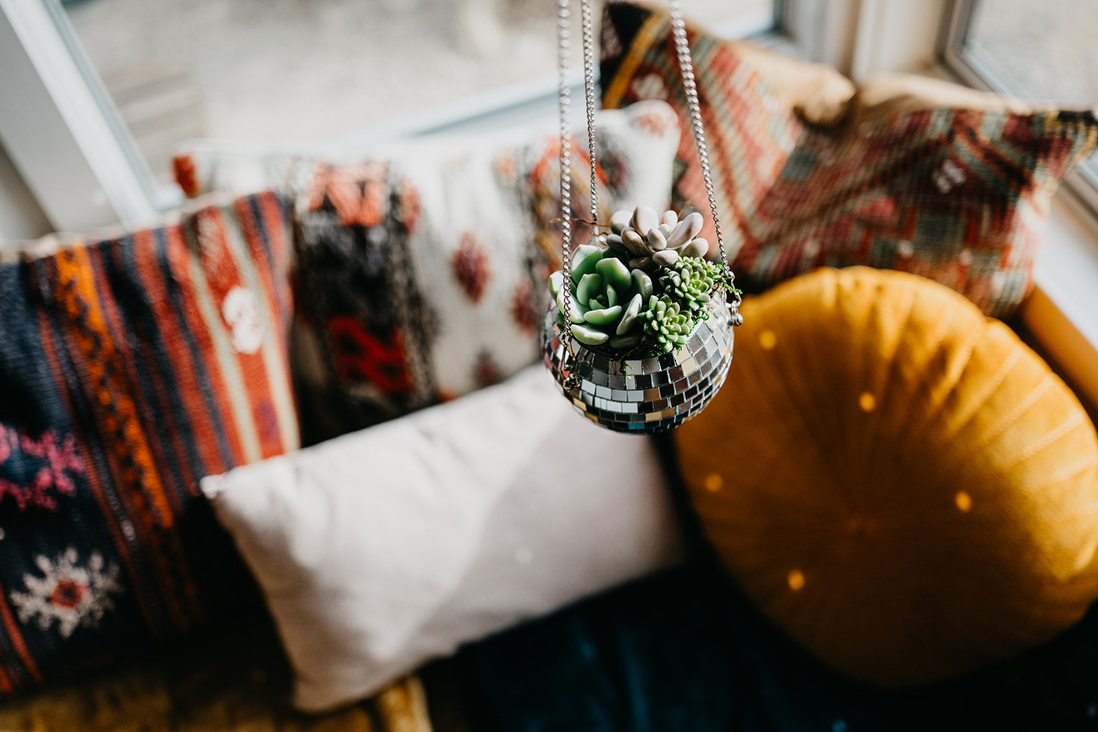 disco ball succulent Hanging Disco Ball Succulent Arrangement – Succulent Friends Co