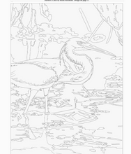 Load image into Gallery viewer, NATIONAL PARKS COLORING BOOK
