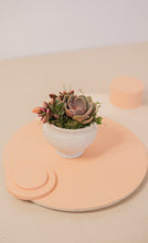 Load image into Gallery viewer, Colorful Succulent Arrangement in White Dottie Ceramic Planter

