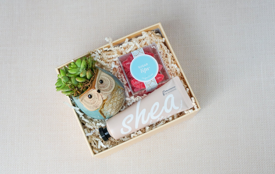 Love Box